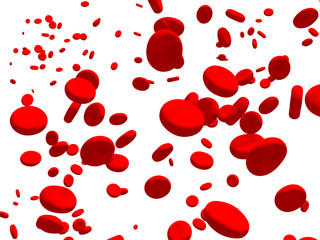 Erythrocytes