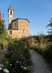Fototapeta na wymiar Rose Garden w Govone (Piemont, Włochy)