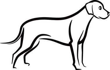 simple illustration with a dog