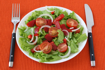 vegetable salad with tomato cherry and onion