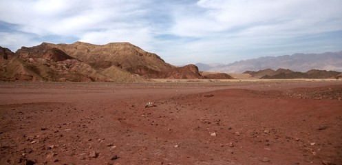 Travel in Arava desert