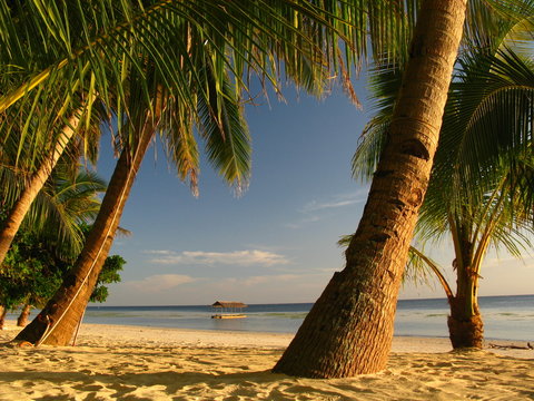 The Perfect Beach Just for You