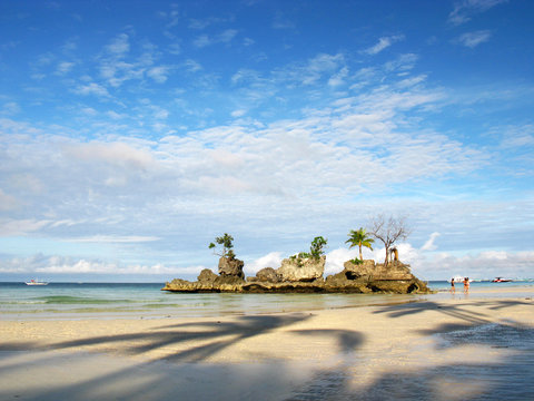 Lovely palm tree shadows on white sand beach