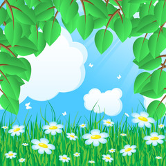 Obraz premium Nature