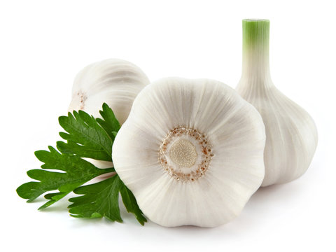 garlic decorated parsley leaves isolated on white background.