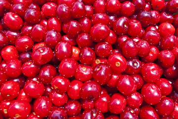 Many cherry