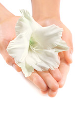 Beautiful woman hands with a white tropical flower, closeup shot