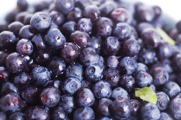 blueberry background
