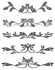 Fototapeta premium Beauty divider ornaments and graphical elements