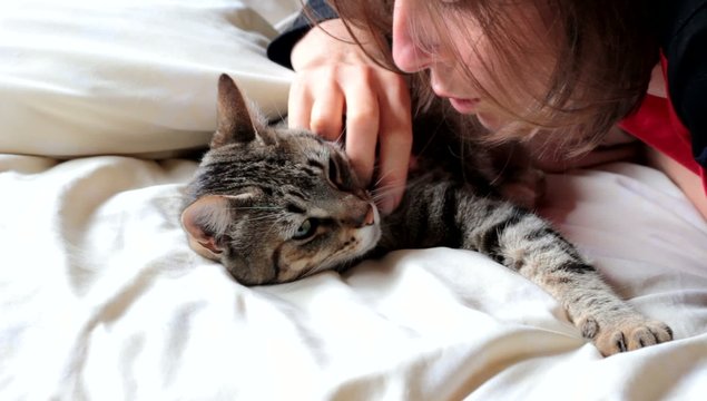 carresser son chat