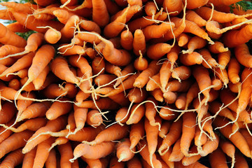 carrots