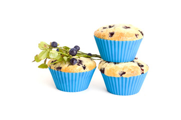 blueberry muffins
