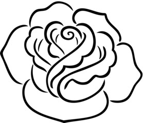 Rose contour
