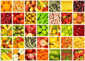 Collage of many fruits and vegetables