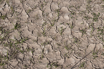 Cracked earth