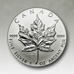 Maple Leaf