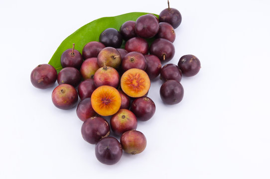 Flacourtia jangomas tropical fruit