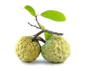 custard-apple