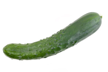 Eine Salatgurke von oben auf weißem Hintergrund