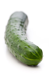 Nahaufnahme von einer Salatgurke