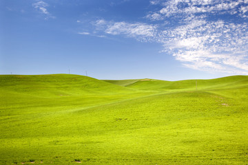 Green Wheat Grass Blue Skies Palouse Washington State