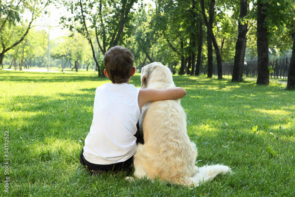 Wall mural Tennager boy in the park with a dog