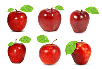 collection red apples isolated on white