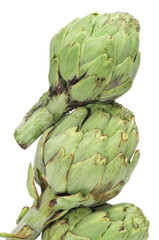 Fototapeta premium artichokes