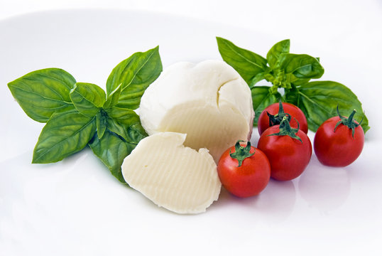 Mozzarella, cherry tomatoes and basil on white plate