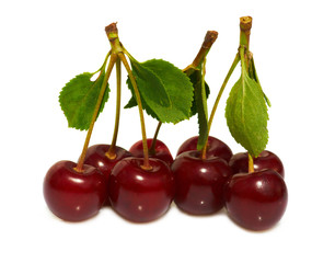 Bunch of ripe cherry