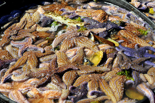 estrellas de mar