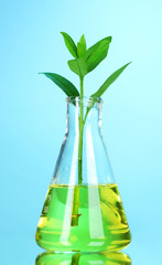 test tube with plants on blue background
