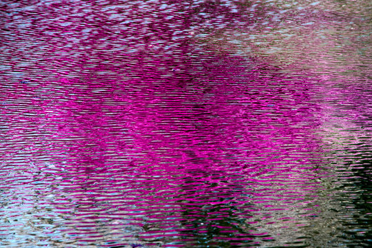 Abstract reflection of cherry blossoms in the river