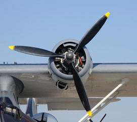 Naklejka na ściany i meble Engine and propeller