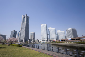 Fototapeta premium みなとみらい