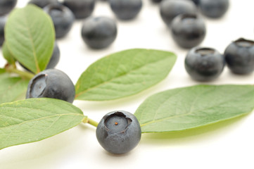 ブルーベリー