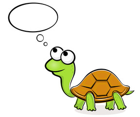 Funny turtle