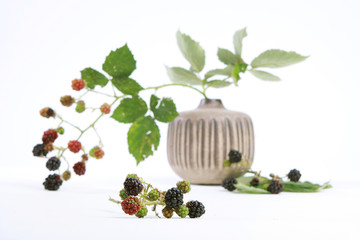 Brombeeren in einer Vase