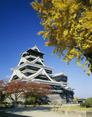 秋の熊本城