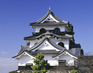 Naklejka premium 彦根城