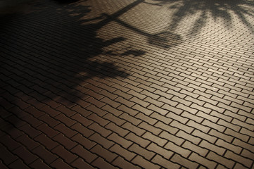 歩道の影