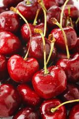 fresh cherries