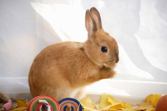 4 Best 手を合わせるポーズ Images Stock Photos Vectors Adobe Stock