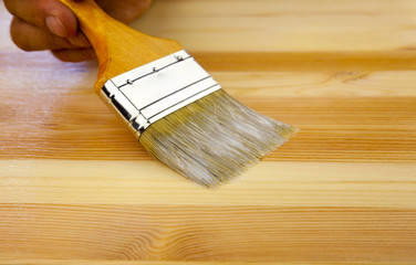 Wood texture, human hand and paintbrush / housework background