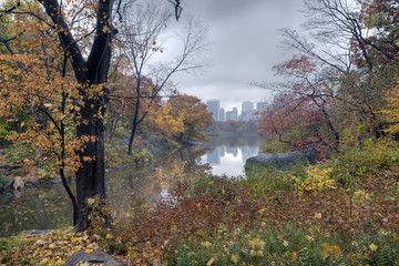 Autumn view of the lake