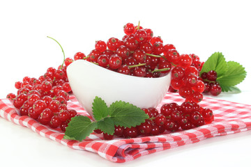 Johannisbeeren