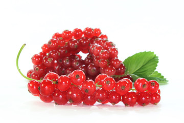 Johannisbeeren