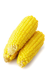 Boiled corn cobs