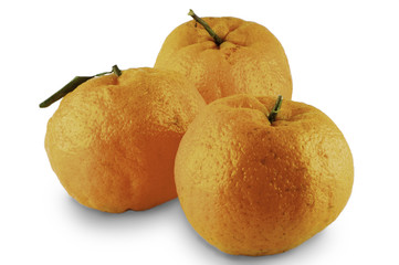 ponkan Fruta Cítrica