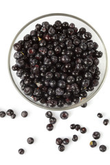 Bilberries